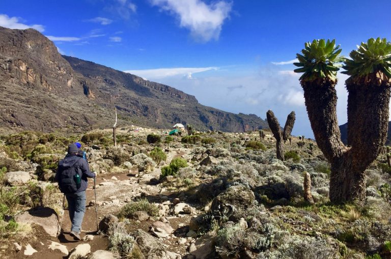 7-Day Kilimanjaro Hiking Via Rongai Route
